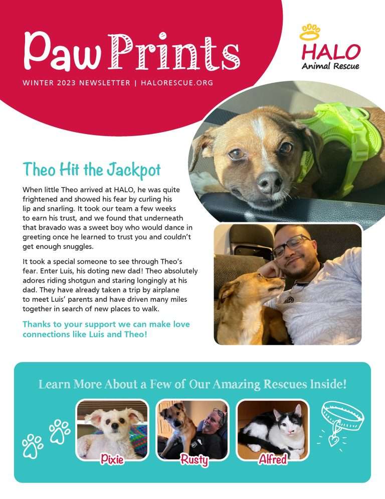 Read more about the article 2023 Winter Newsletter