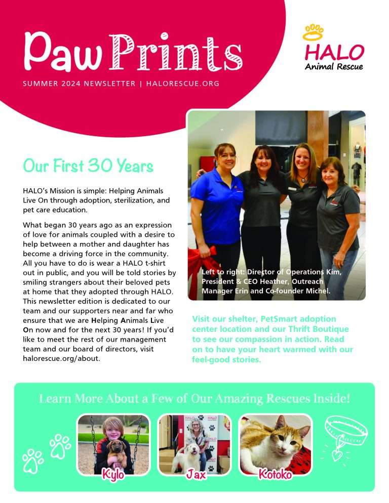 Read more about the article 2024 Summer Newsletter